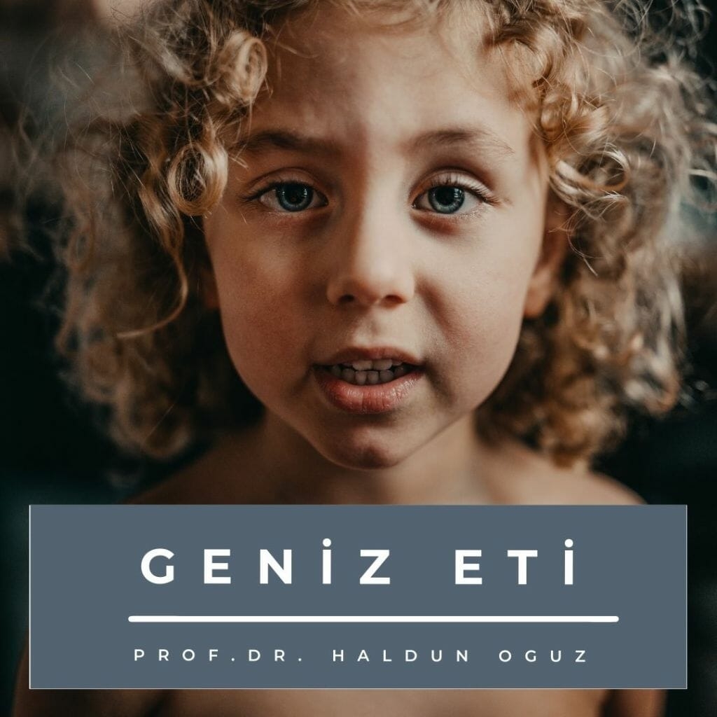 geniz-eti