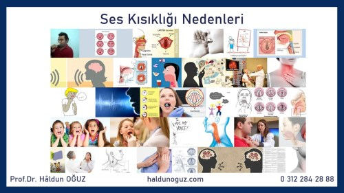 ses-kisikligi-nedenleri