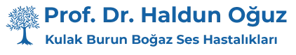 Ankara Kulak Burun Boğaz Ses Hastalıkları