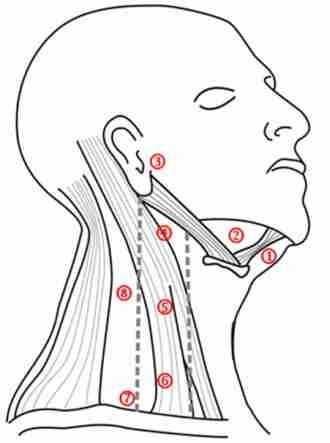 bas-boyun-kanser-haldun-oguz