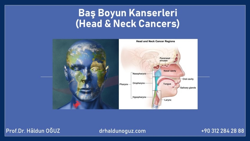 bas-boyun-kanseri