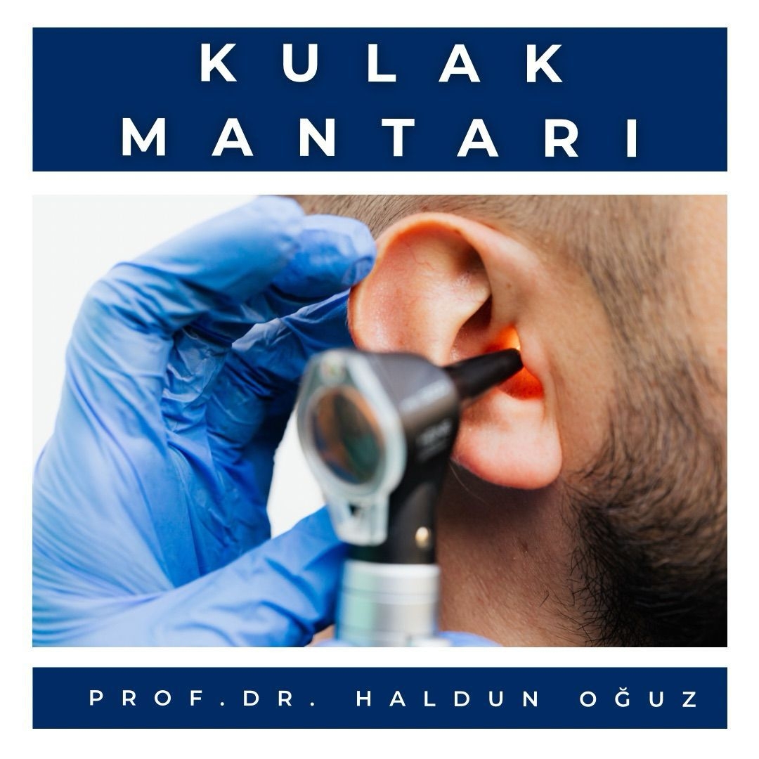kulak-mantari2