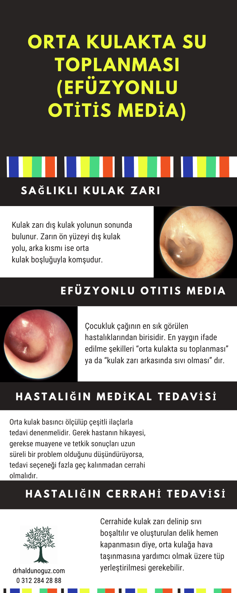 otitis-media-infografik