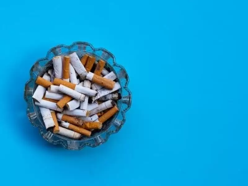 31 Mayıs Dünya Sigarasız Günü Ve Ses Sağlığı