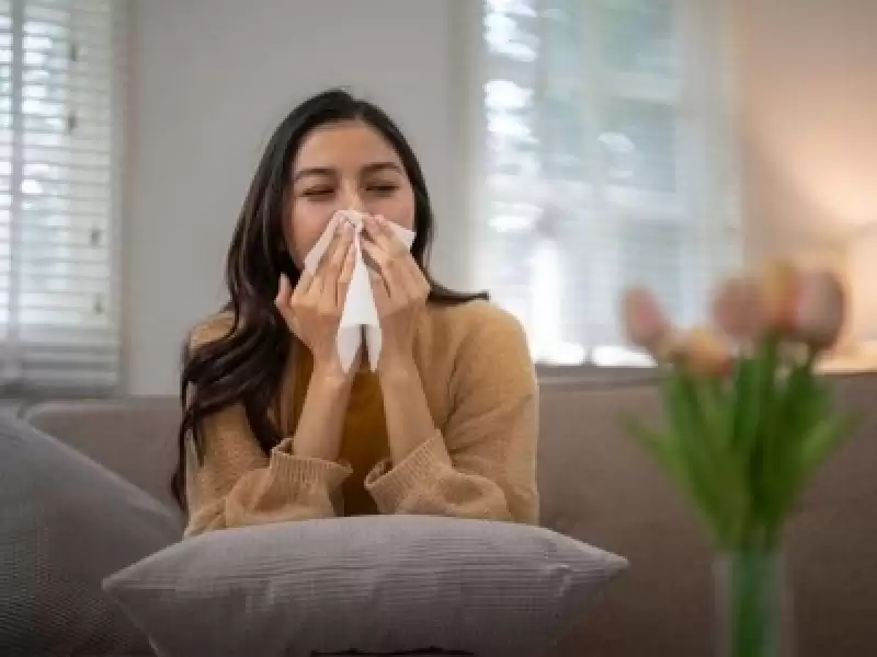 Burun Tıkanıklığının Nedenleri