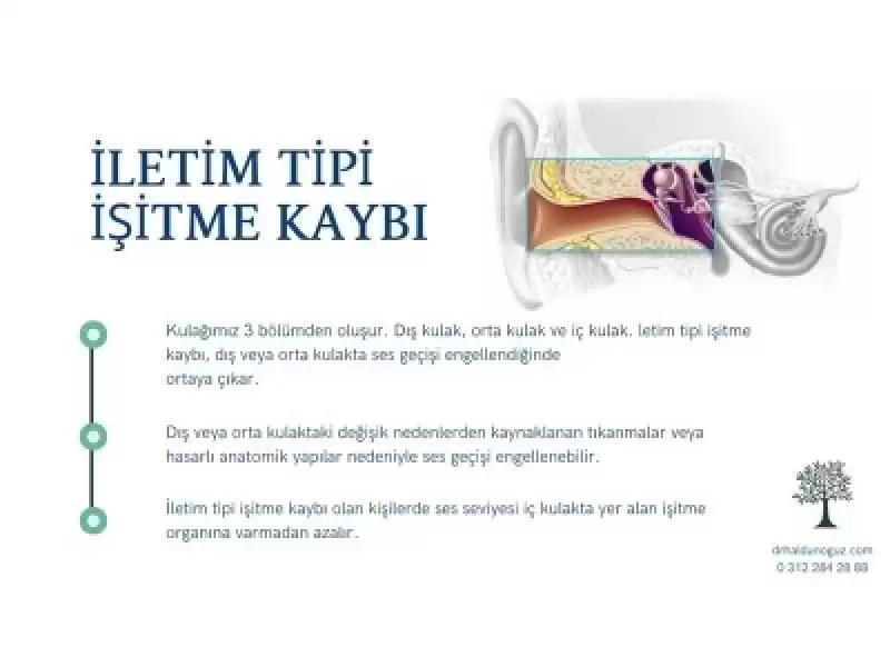 İletim Tipi İsitme Kaybi Nedenleri
