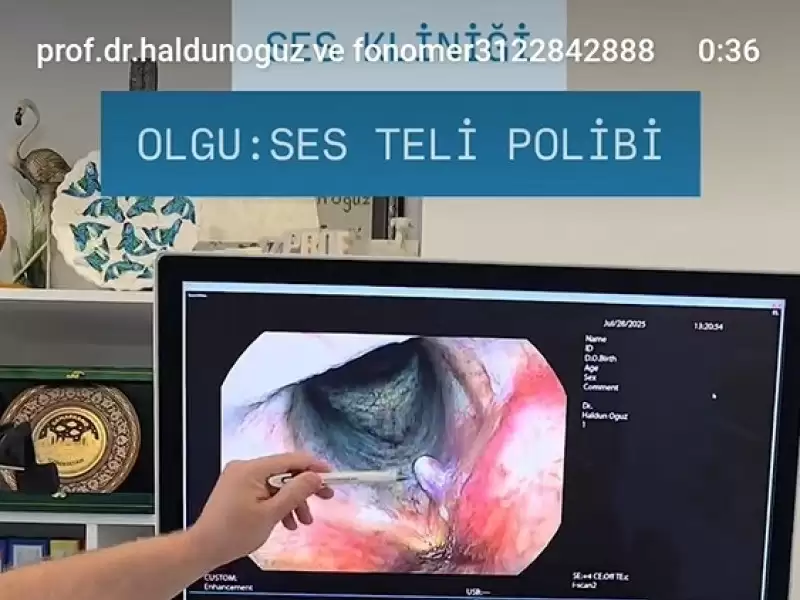 Olgu: Ses Teli Polibi