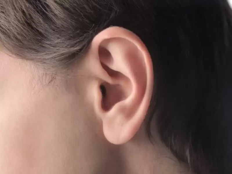 Orta Kulakta Su Toplanması (Efüzyonlu Otitis Media)