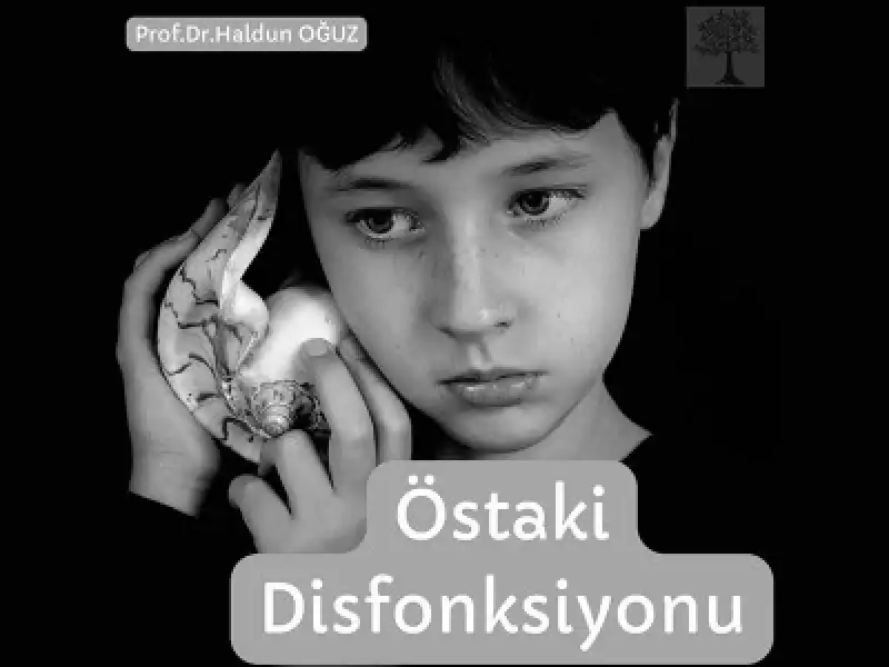 Östaki Disfonksiyonu