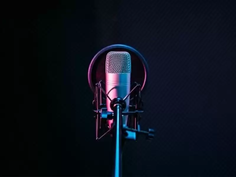 Profesyonel Ses Hijyeni