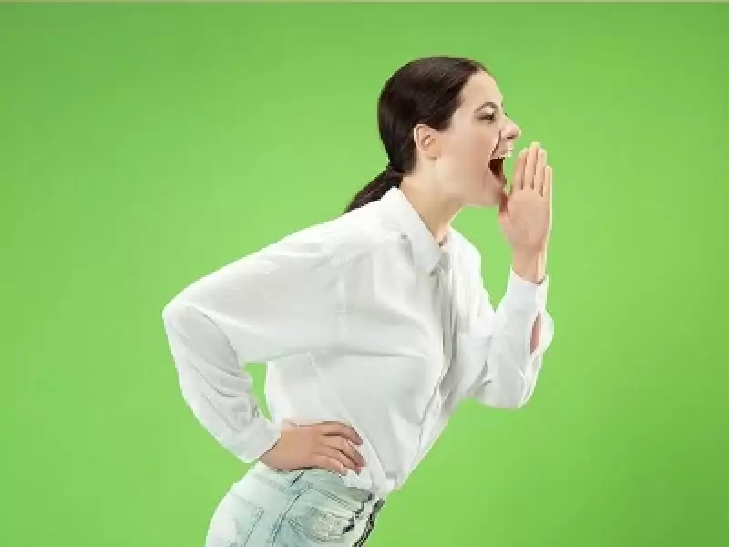 Ses Teli Kisti