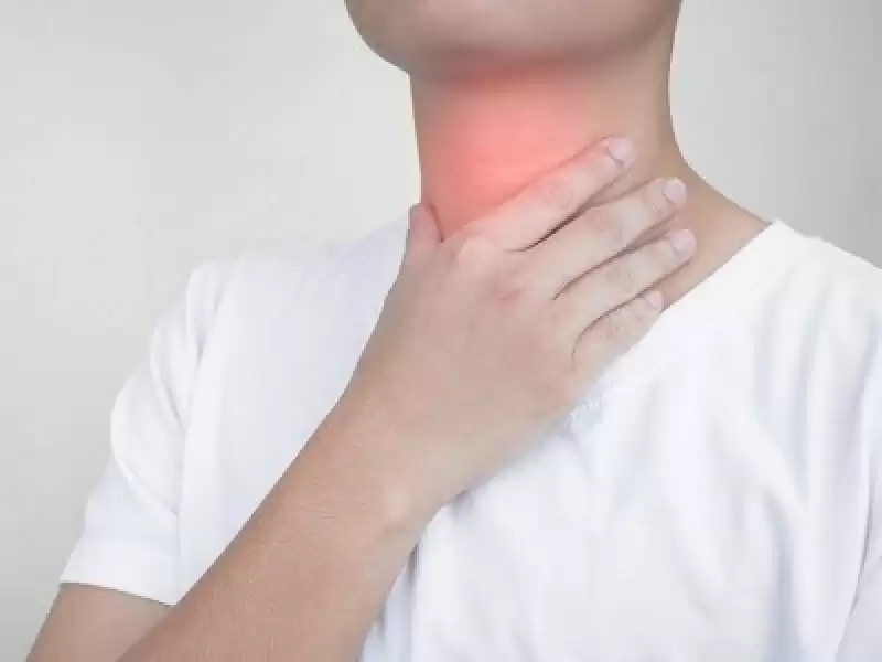 Türk ORL Klinikleri Ses Hastalıkları Kursu