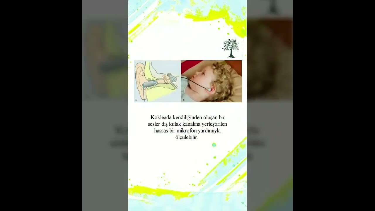 ses ameliyatı,ses cerrahisi,ses teli felci,ses tedavisi,ses terapisi,ses inceltme,ses kalınlaştırma,ses estetiği,ses teli kanseri,gırtlak kanseri,geniz eti,burun ameliyatı,kulak tüpü,çocuk kbb,horlama ameliyatı,kulak burun boğaz profesörü,an