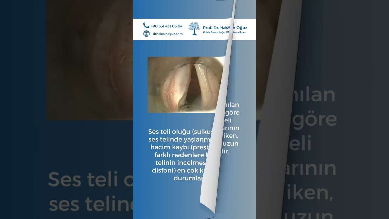 ses ameliyatı,ses cerrahisi,ses teli felci,ses tedavisi,ses terapisi,ses inceltme,ses kalınlaştırma,ses estetiği,ses teli kanseri,gırtlak kanseri,geniz eti,burun ameliyatı,kulak tüpü,çocuk kbb,horlama ameliyatı,kulak burun boğaz profesörü,an