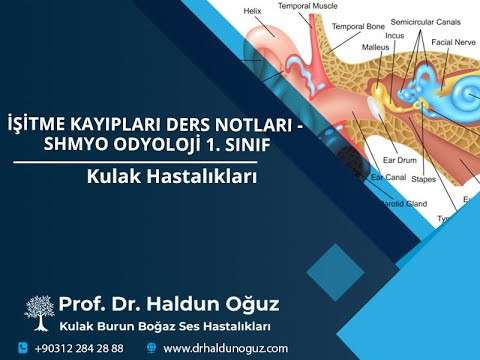 isitme kaybi,ders,not,odyoloji,odyometri