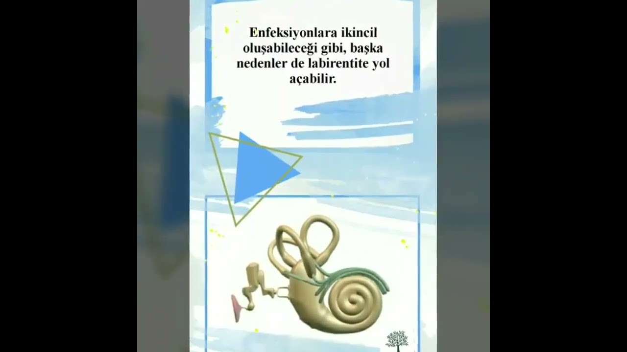 ses ameliyatı,ses cerrahisi,ses teli felci,ses tedavisi,ses terapisi,ses inceltme,ses kalınlaştırma,ses estetiği,ses teli kanseri,gırtlak kanseri,geniz eti,burun ameliyatı,kulak tüpü,çocuk kbb,horlama ameliyatı,kulak burun boğaz profesörü,an