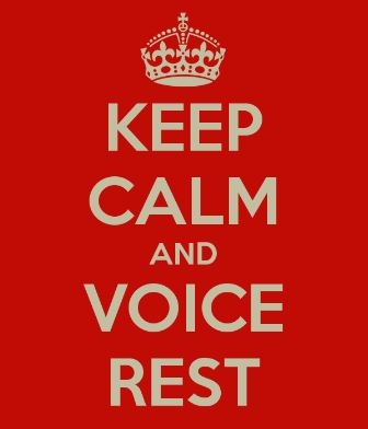 voice-rest-haldun-oguz