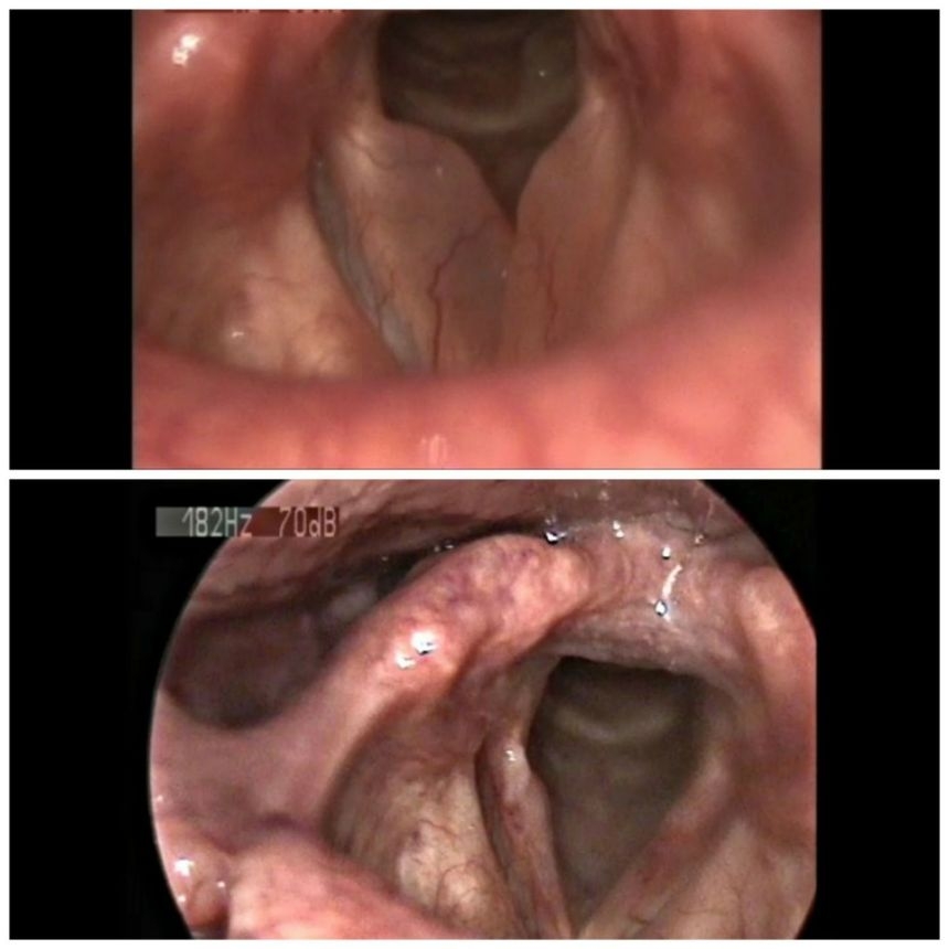 whatsapp-image-2017-08-03-at-16-24-34-2