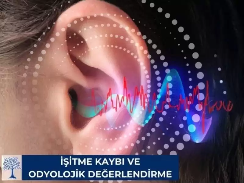 İşitme Kaybı Ve Odyolojik Değerlendirme