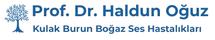 Ankara Kulak Burun Boğaz ve Ses Hastalıkları Uzmanı